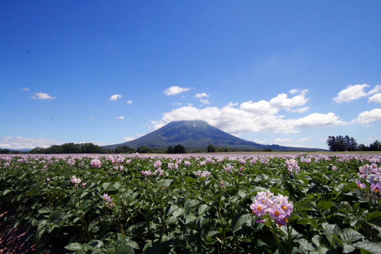 Niseko Northern Resort, An'Nupuri Exterior photo
